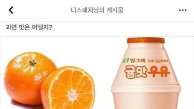 귤맛 우유의 나비효과