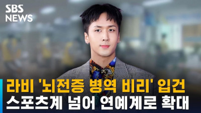 왜 나만 감옥 가?...재입대 가능 병역 비리 라비·나플라가 다른 판결 받은 이유