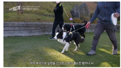 ㅁㅏ 약을 시작하면 안되는 이유 ㄷㄷㄷ