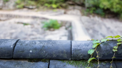 3일간의 대규모 페스티벌! 경북 WOW(와)보이소 경북의 모든 매력을 도심에서 한 번에