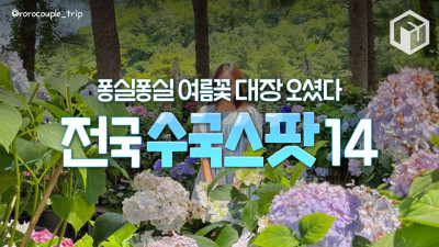 2025 전국 수국 명소 BEST 14 (+수국축제 일정)