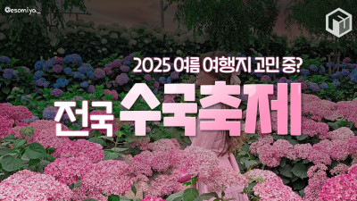 2025 전국 수국축제 총정리 BEST 10 (+일정)