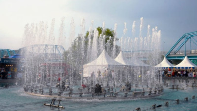 독일식 소시지 그리고 다채로운 공연! 칠곡 꿀맥 페스티벌 벌꿀과 맥주가 어우러진 여름밤 축제