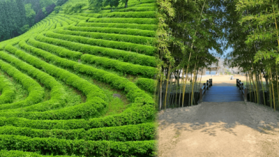 이 정도면 진짜 세계급 절경!...한국의 아름다움을 담은 해외보다 더 예쁜 국내 자연 여행지 BEST 4 추천