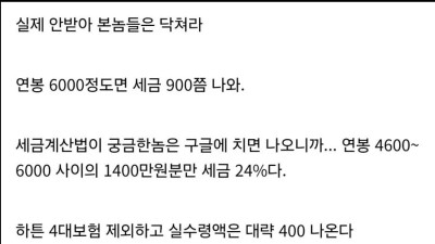 연봉 6000이 부족하다는 주갤럼.jpg