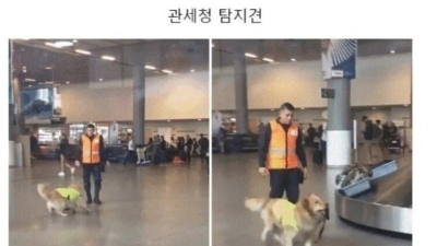 의외로 사내복지 철저한 곳