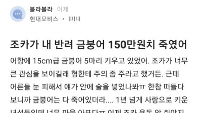 조카가 내 반려 금붕어 150만원치 죽였어