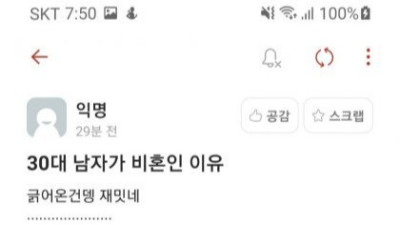   				30대 남자가 비혼인 이유. jpg			