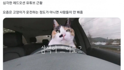   				심각한 레드오션 유튜브 근황			