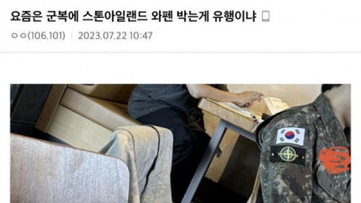   				요듬은 군복에 스톤아일랜드 박는게 유행이냐			