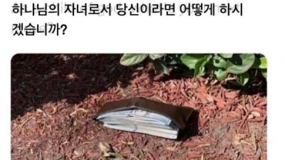   				하나님의 자녀로서 당신이라면 어떻게 하시겠습니까?			