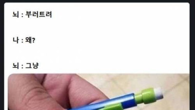   				인간의 불합리한 파괴본능			