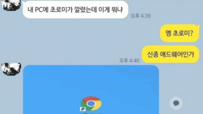   				내 PC에 초로미가 깔렸는데 이거 뭐임?.jpg			