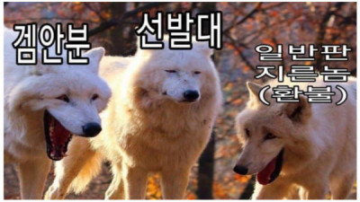   				스포) 디아4 얼리오픈근황			