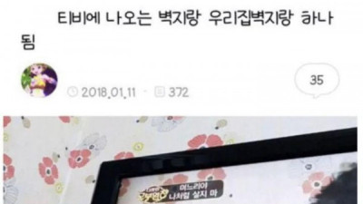   				티비에 나오는 벽지랑 우리집벽지랑 하나됨			