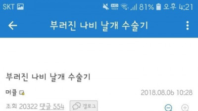   				디씨의 곤충화타 부러진 나비 날개 수술기.jpg			