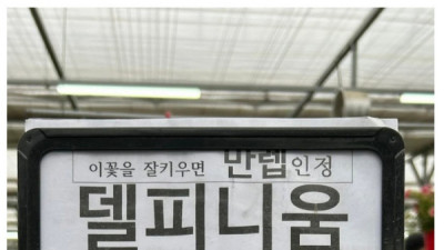   				화분 몰라도 하나쯤 사고싶게 만드는 장사천재 꽃집사장님			