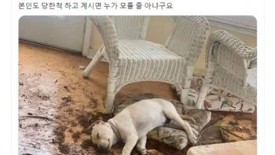   				본인도 당한척 하고 계시면 누가 모를 줄 아냐구요.			