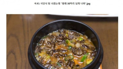   				속보 식당서 탕 시켰는데 &#034;벌레 30마리&#034; 넘게 나와			