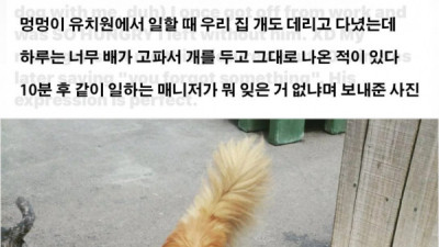   				퇴근했는데 직장동료가 뭐 잊은거 없냐며 보내준 사진			