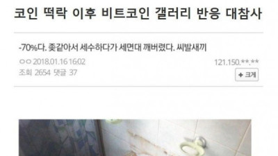   				4년 전 코인판 집단광기			