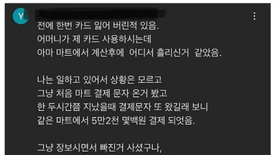 모르는 사람이 내 신용카드를 썼다