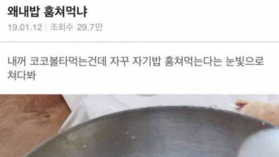   				왜 내 밥 훔쳐먹냐?			