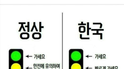   				신호등의 의미			