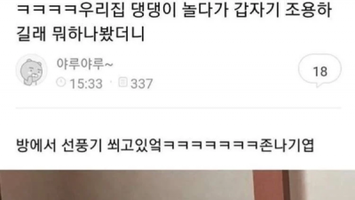   				우리집 댕댕이 놀다가 조용하길래 봤더니			