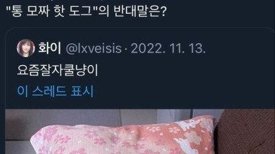 통모짜핫도그의 반대말은?.jpg