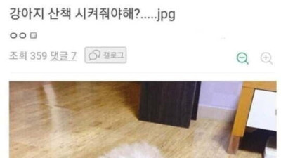   				더위에 참교육 당한 댕댕이.jpg			