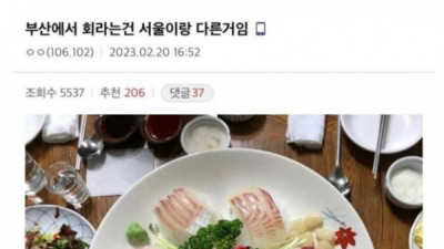   				붓싼사람들이 생각하는 진정한 회			