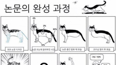   				논문의 완성 과정			