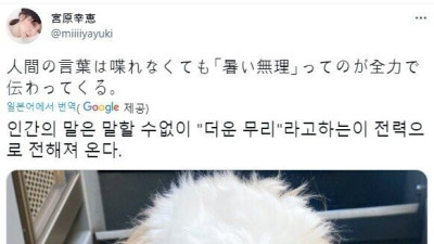   				더워서 힘든걸 얼굴로 표현하는 강아지			