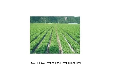   				구황작물이란 어떤 것일까?			