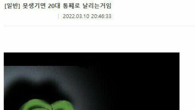   				못생기면 20대 통째로 날리는거임			