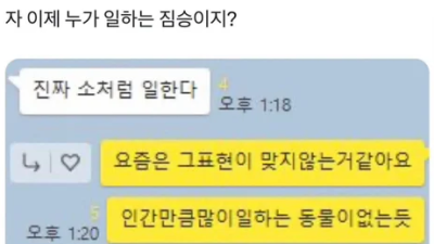   				자 이제 누가 일하는 짐승이지?			