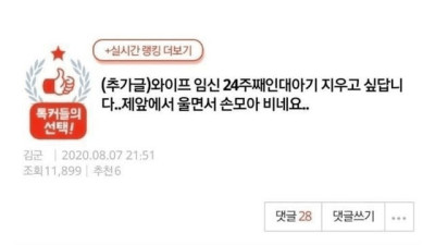 와이프가 임신 24주 째인데 아기를 지우고 싶다고 합니다..jpg