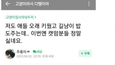   				캣맘 집 안에 사료 뿌리는 또다른 캣맘			