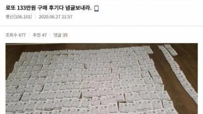   				로또 133만원 지른 디씨인의 결과			