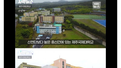   				제주도에도 찾아온 대학교 폐교 위기			