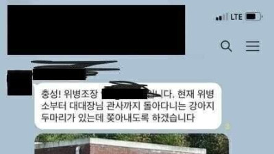   				떠돌이 강아지 두마리를 쫓아냈더니...jpg			