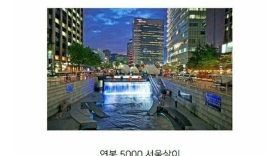 반반 갈린다는 연봉 5000 서울살이, 7000 제주살이.jpg