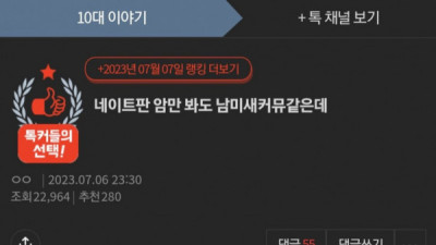   				못생긴 한남 한정으로 페미라는 판녀..			