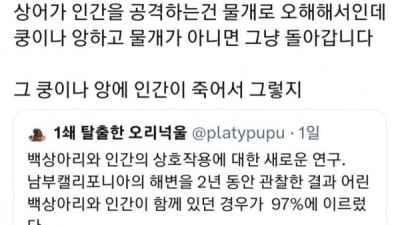   				상어는 인간을 먹지 않는다			