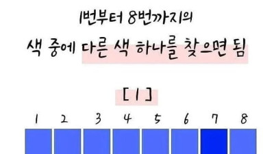 다 맞히면 상위 8퍼센트의 눈