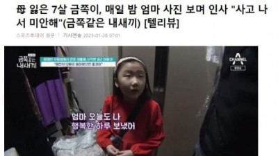   				엄마 잃은 세종시 7살 금쪽이 사건 근황			