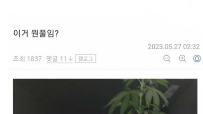   				어제 대마초 신고한 사람 헬피엔딩			