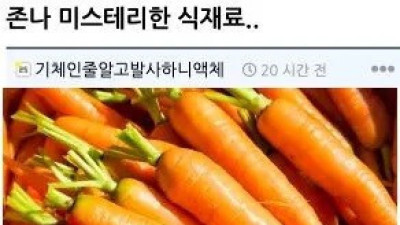   				존나 미스테리한 식재료			