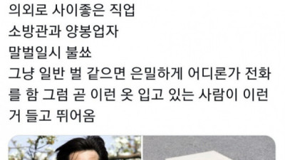   				의외로 사이가 두 직업			